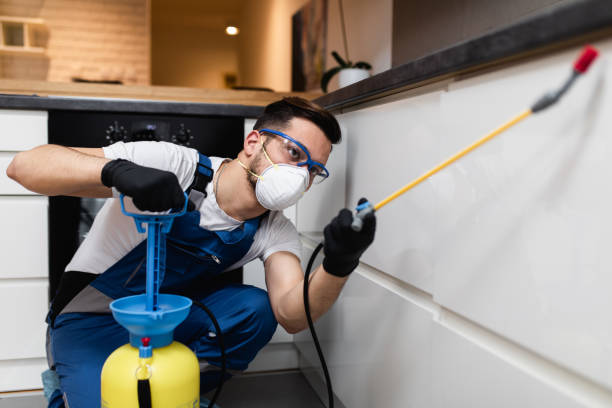 Best Best Pest Control Companies  in Warrenton, GA