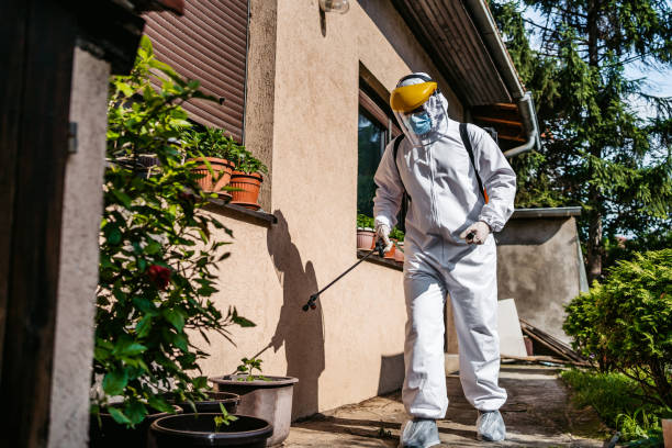 Best Pest Removal Services  in Warrenton, GA