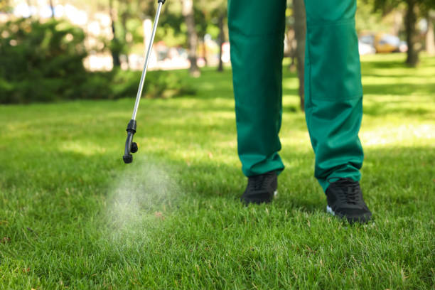 Best Local Pest Control Services  in Warrenton, GA