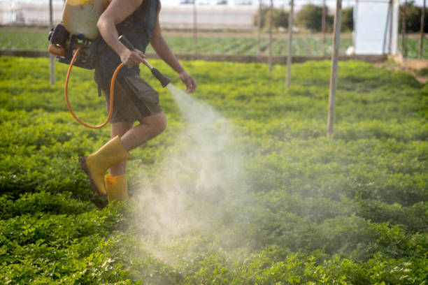 Best Residential Pest Control  in Warrenton, GA