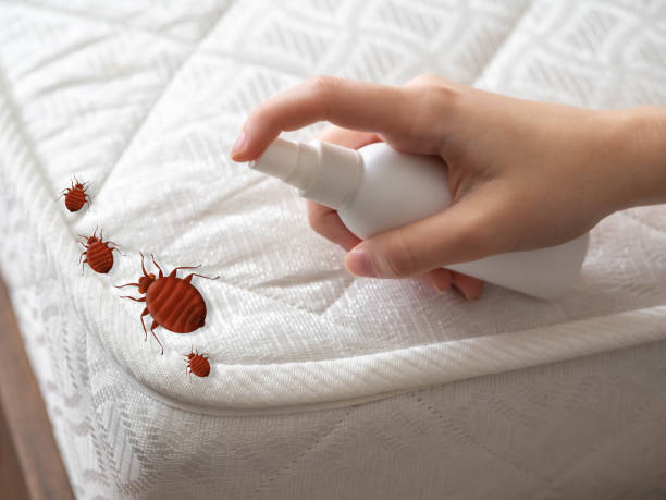 Best Ant Control Services  in Warrenton, GA