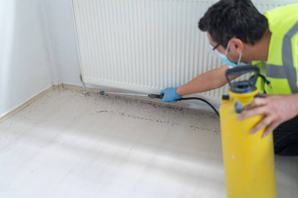 Best Pest Control Near Me  in Warrenton, GA