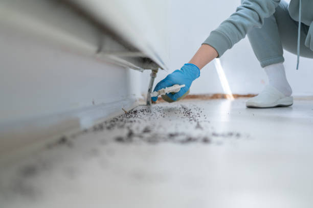 Best Cockroach Control Services  in Warrenton, GA