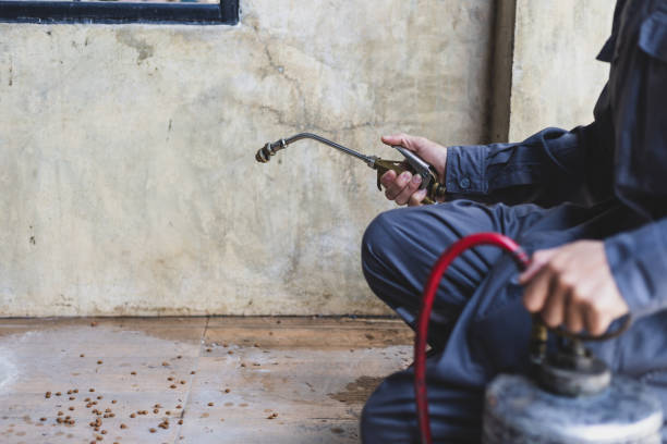 Best Exterminator Services  in Warrenton, GA
